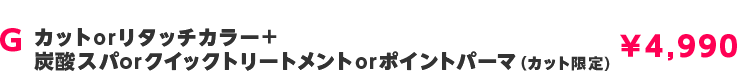 setmenu_g.png